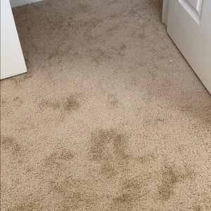 Meet your Posher, Margaux